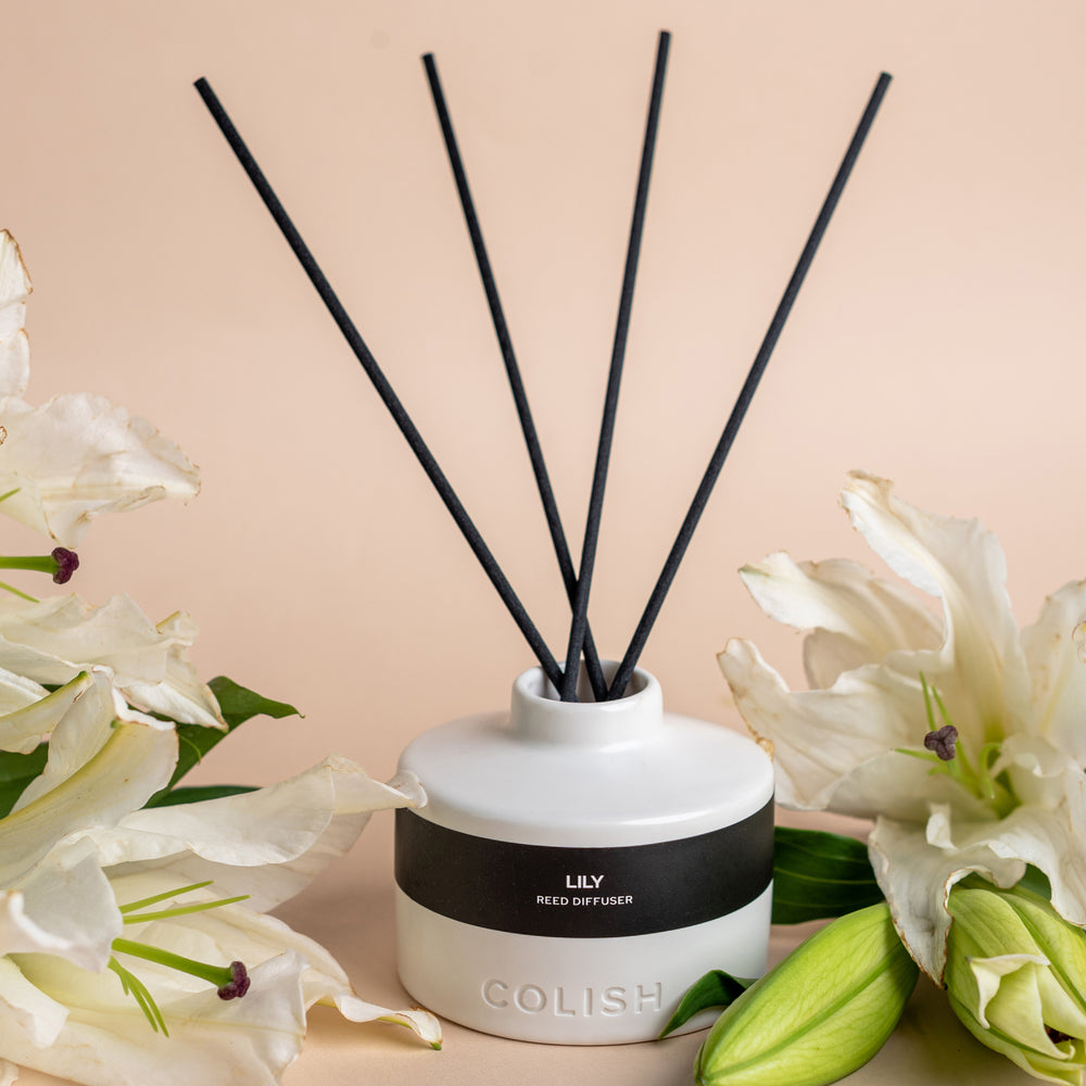 
                      
                        LILY REED DIFFUSER
                      
                    