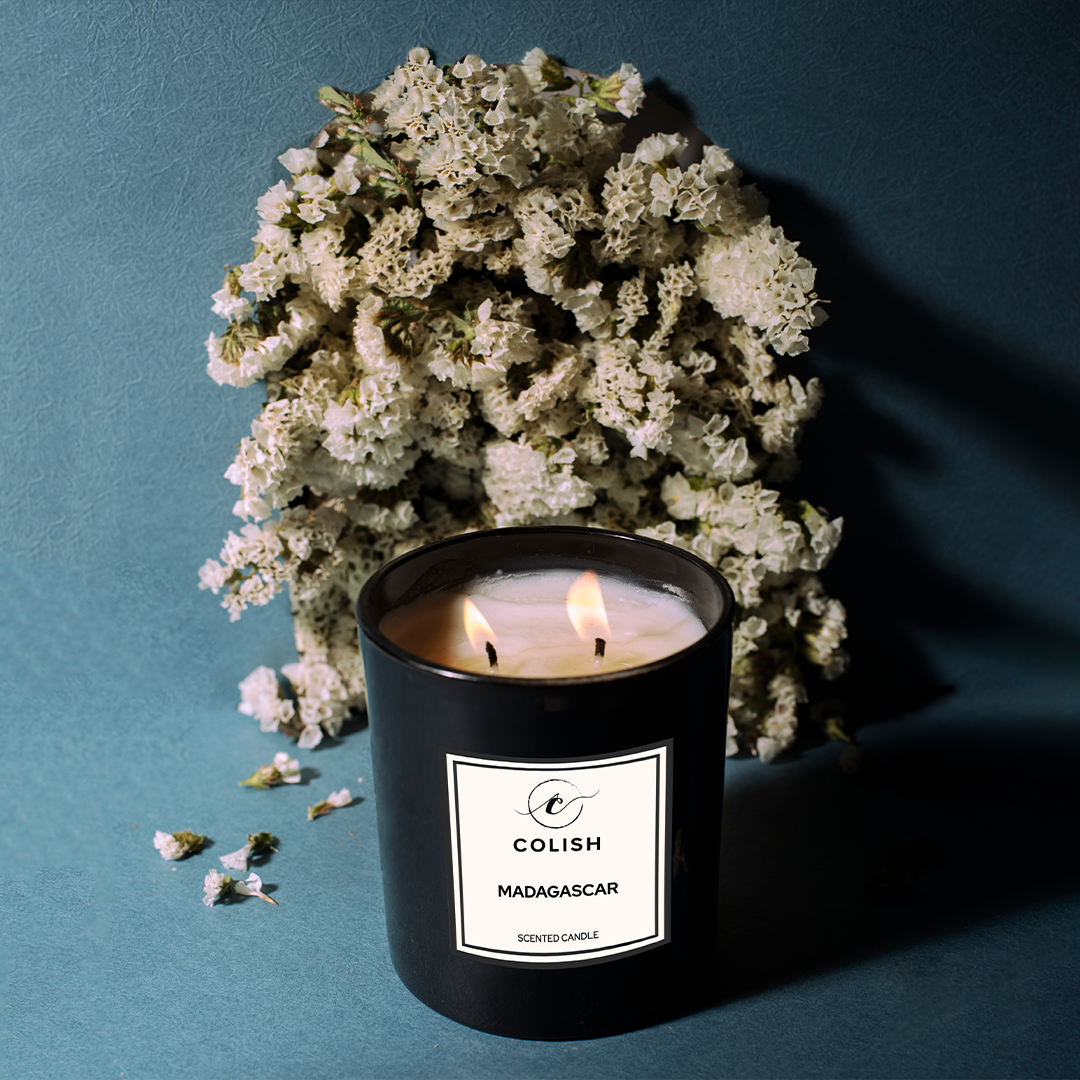 jasmine gardenia motia best seller candle